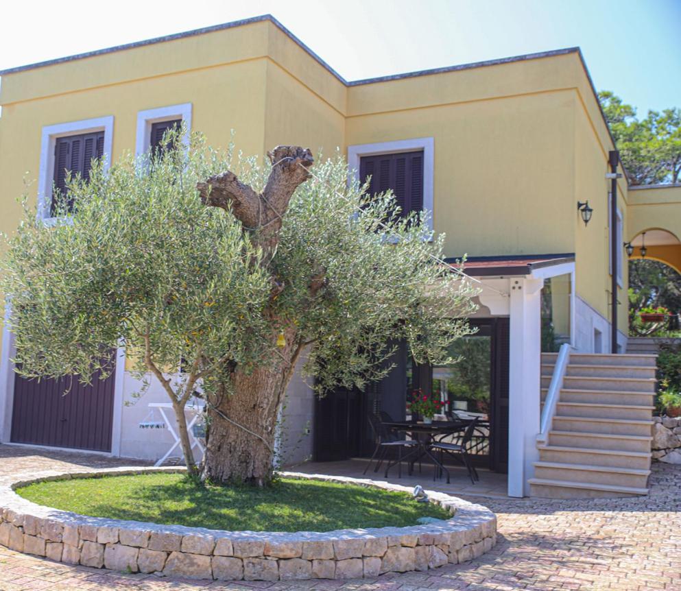 Villa Arisa With Pool Selva Di Fasano Buitenkant foto