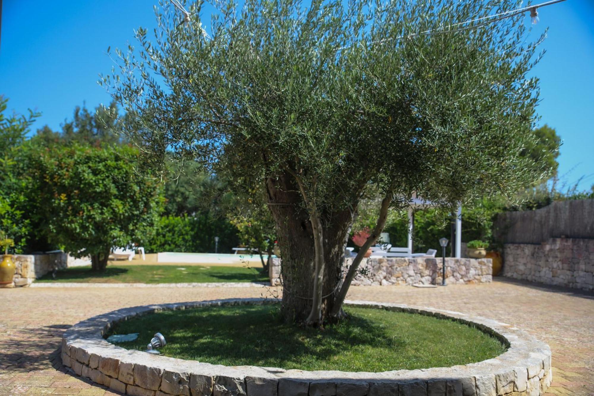Villa Arisa With Pool Selva Di Fasano Buitenkant foto