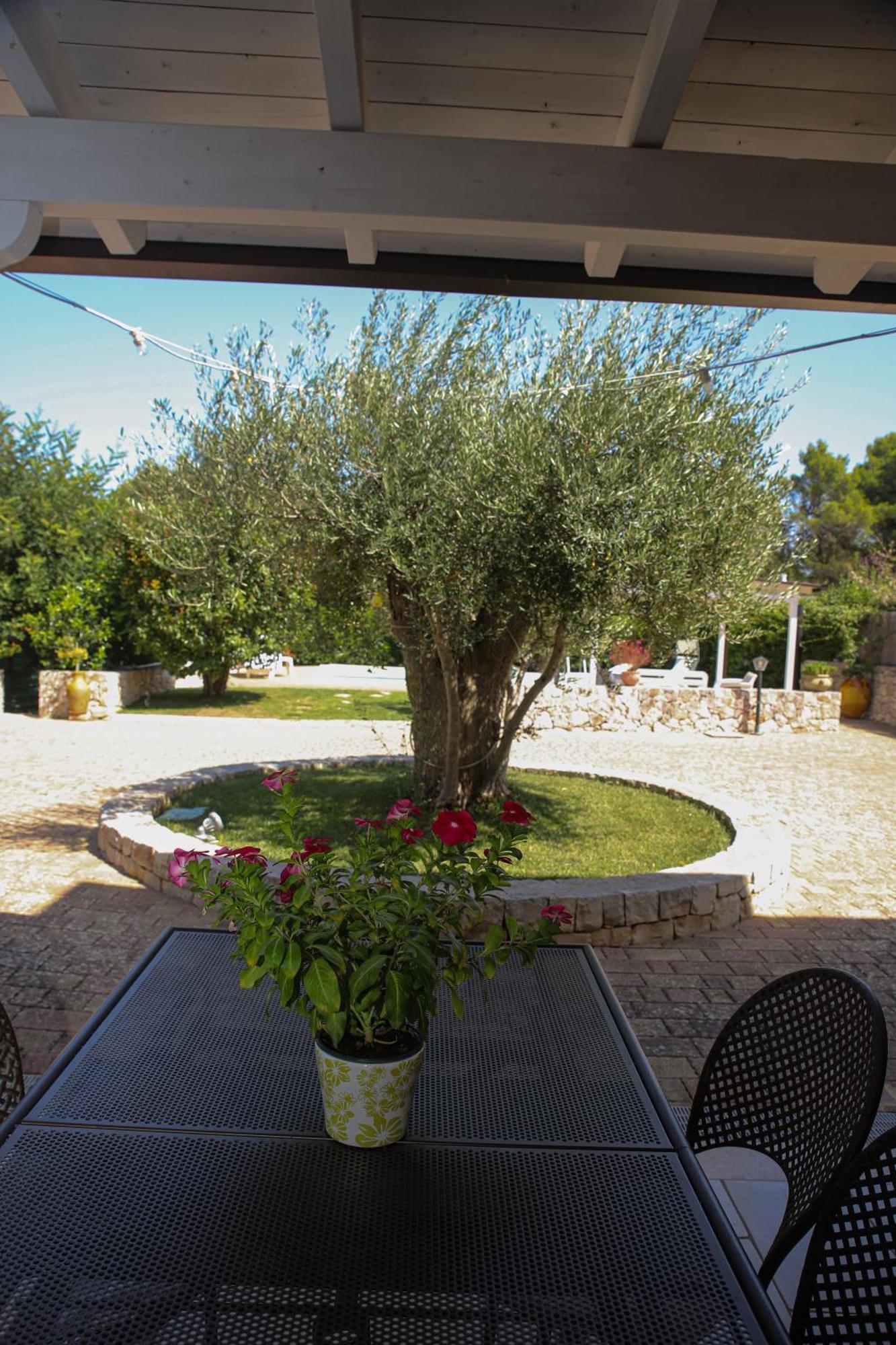Villa Arisa With Pool Selva Di Fasano Buitenkant foto